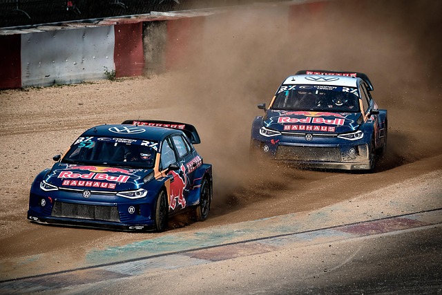 以其惊人的 以其惊人的