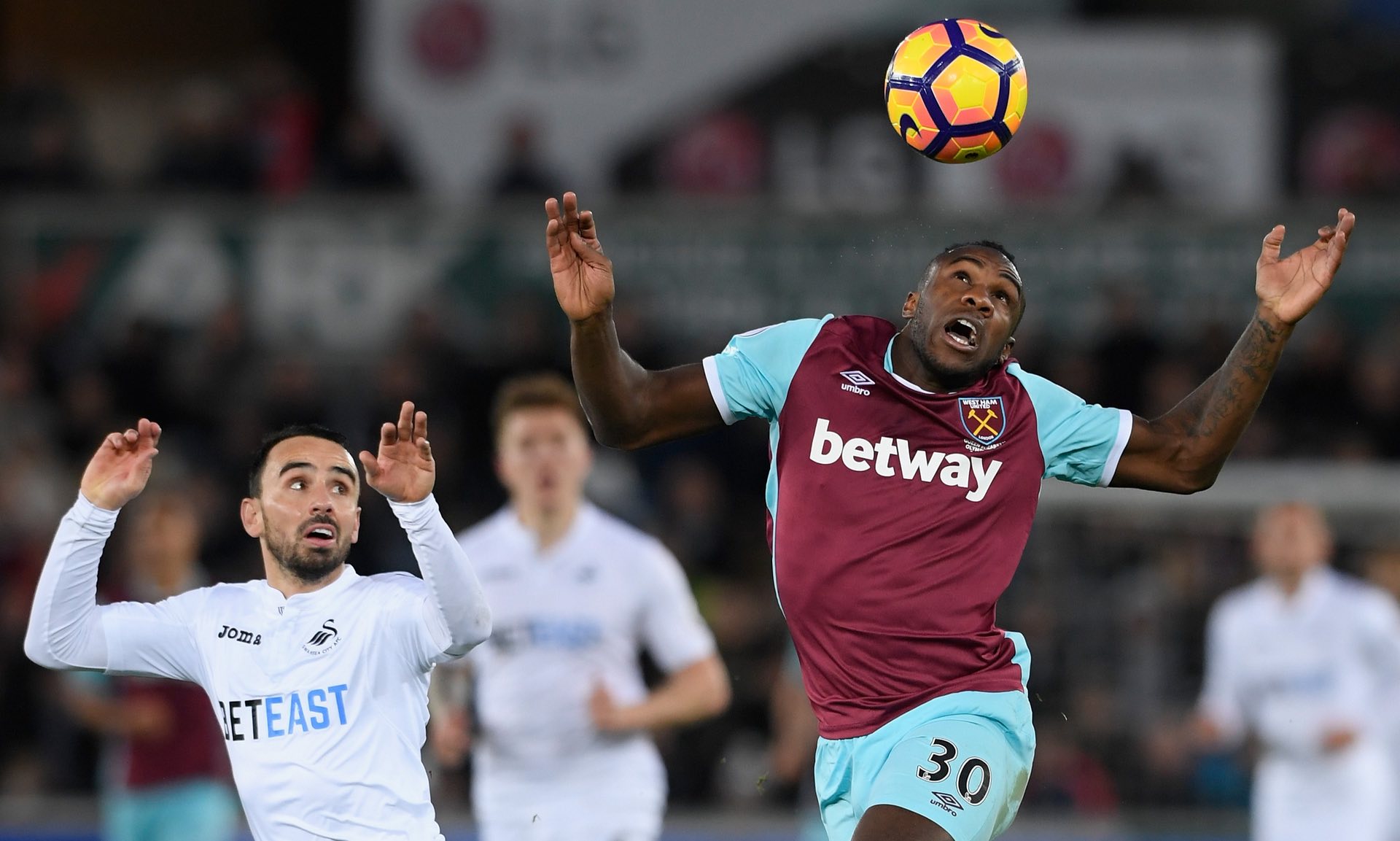 多样化的盈 多样化的盈