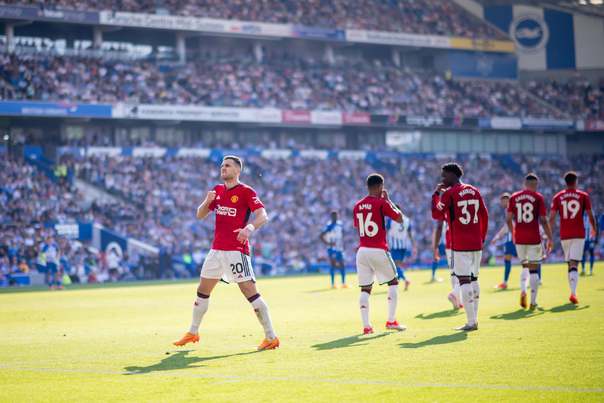 蜂继续前行 蜂继续前行